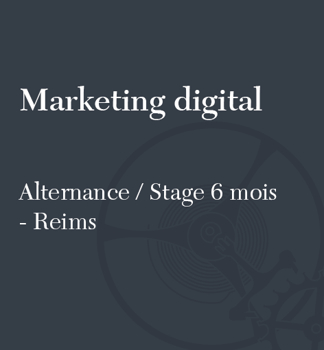 Offre - Alternance/Stage 6 mois en marketing digital